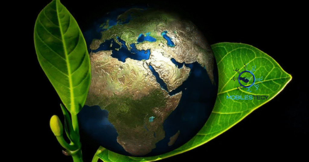Environmental Impact and Sustainability