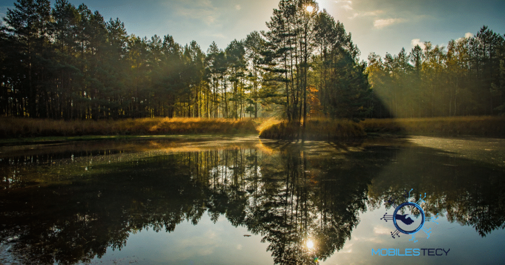 Daily Life Reflected in the Photographs