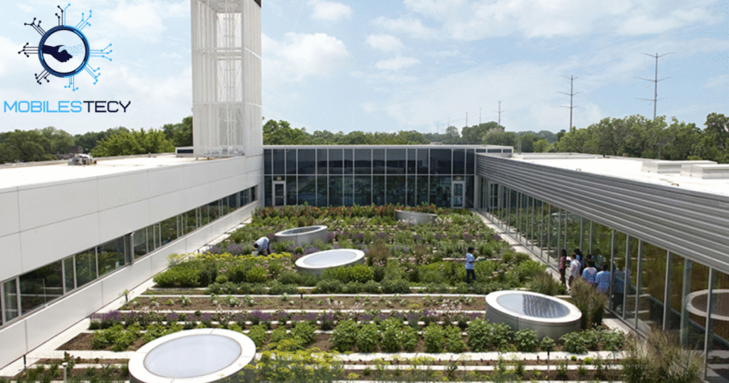 Green Infrastructure and Living Architecture
