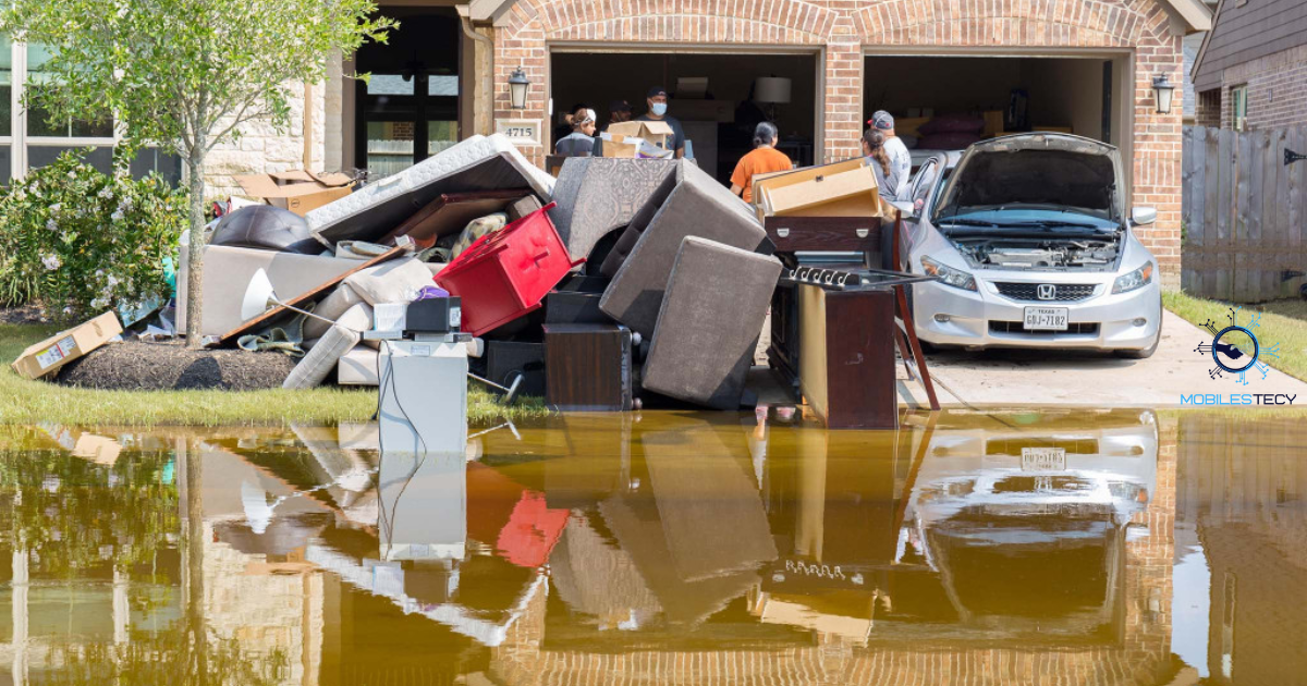 Insurance Adjuster for Flood Restoration