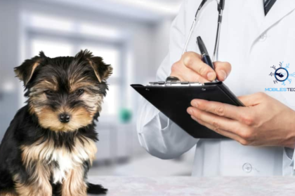 What is a Dog Health Certificate?