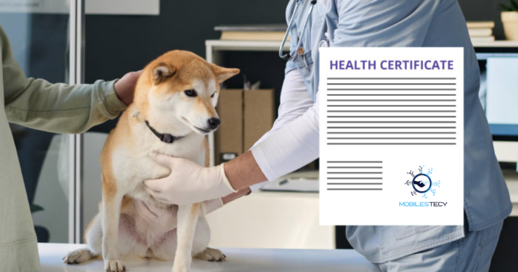 Requirements for Obtaining a Dog Health Certificate