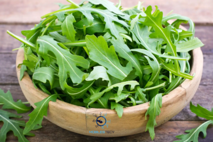 Arugula Plant Health Benefits