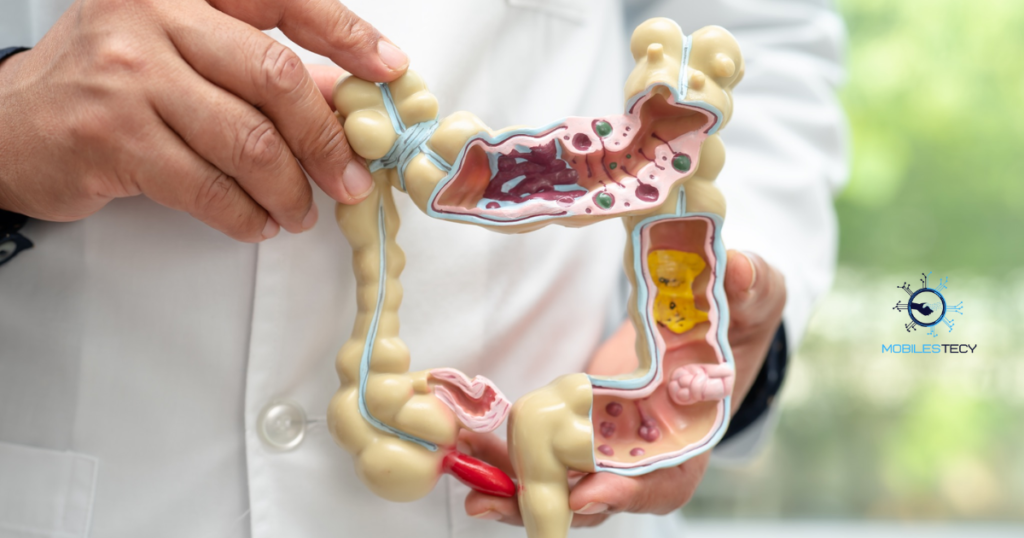 Bone and Digestive Health