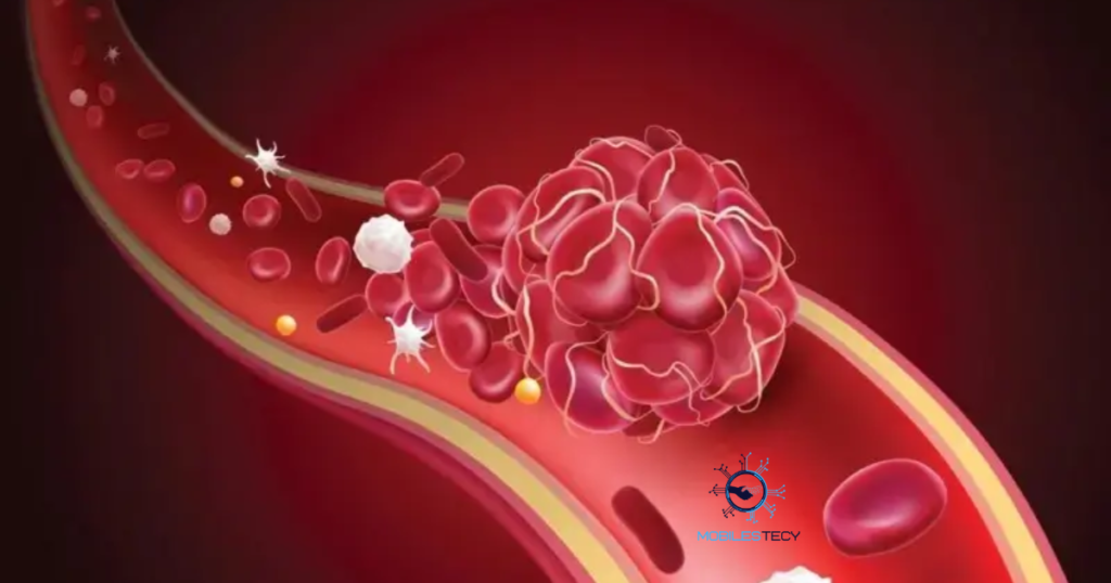 Avoiding Risk Factors That Harm Blood Vessels