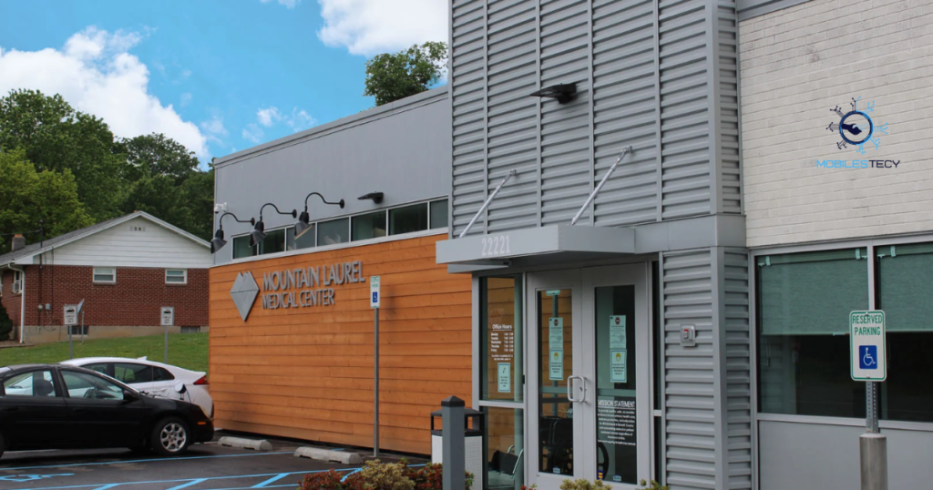 Payment and Renewal Options