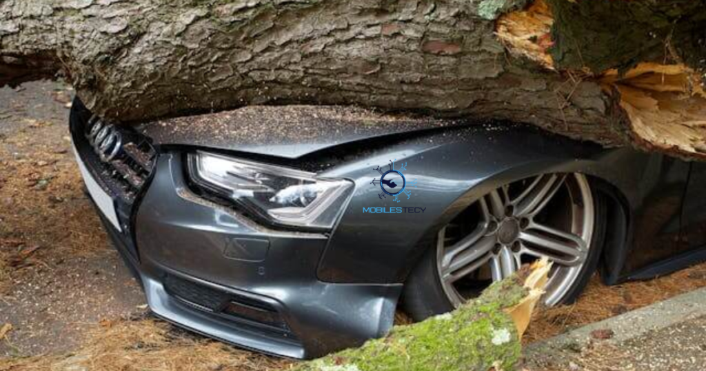 Causes of Paint Damage